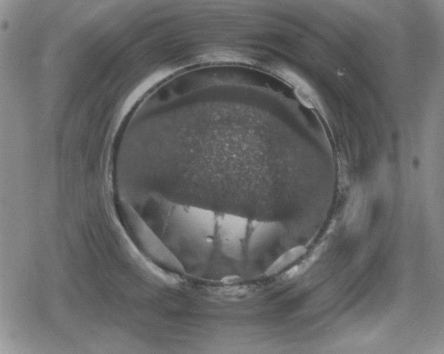 X0000080731141200612151217