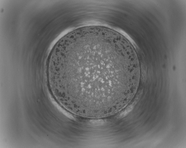 X0000080731142200612151217