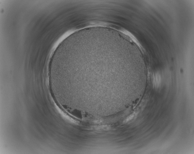 X0000080731143200612151217