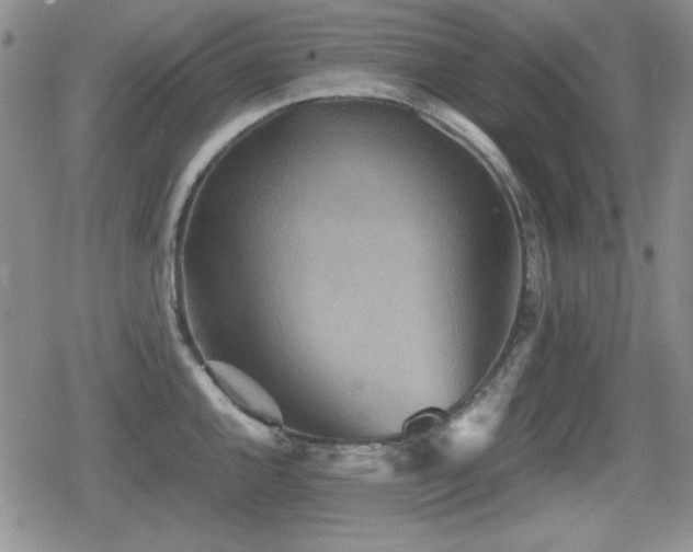 X0000080731144200612151217