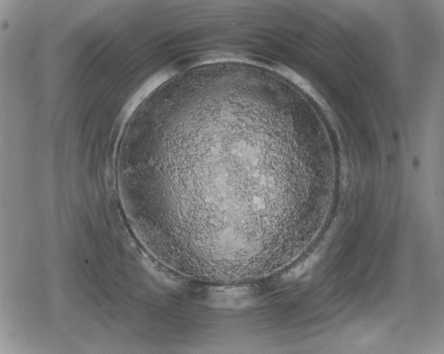 X0000080731145200612151217