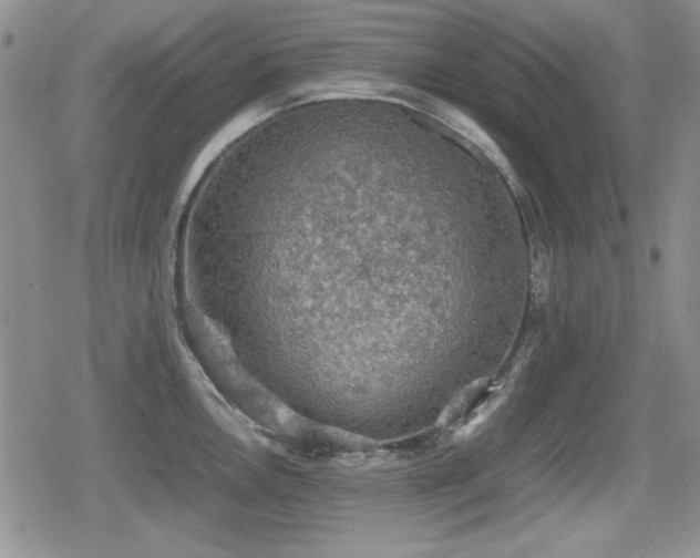 X0000080731146200612151218