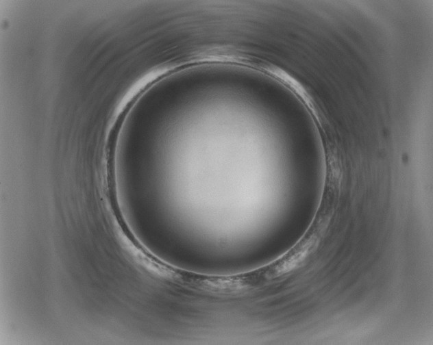 X0000080731147200612151218