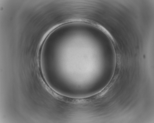 X0000080731148200612151218