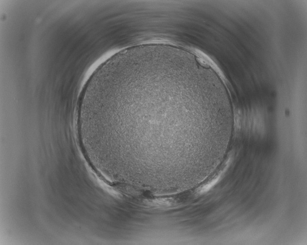 X0000080731149200612151218