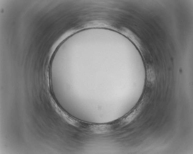 X0000080731150200612151218