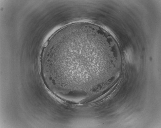 X0000080731151200612151218