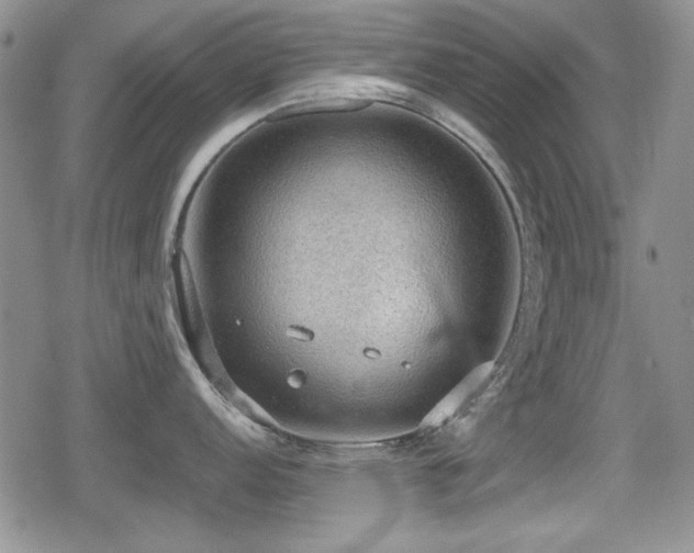 X0000080731152200612151218