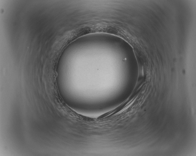 X0000080731153200612151217