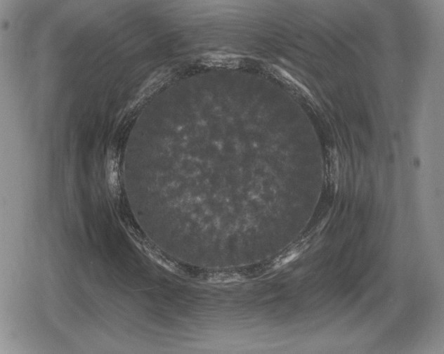 X0000080731154200612151217