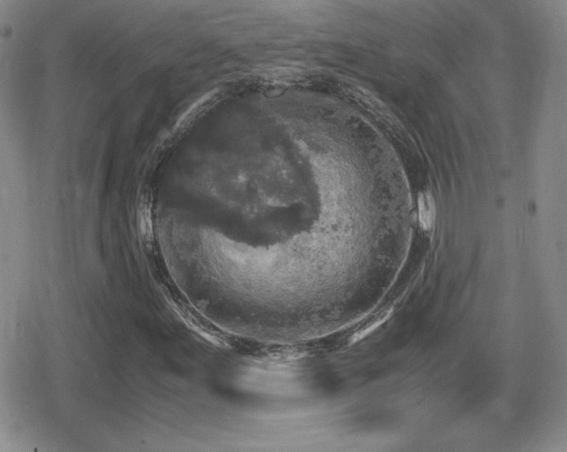 X0000080731155200612151217