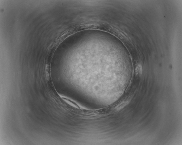 X0000080731156200612151217