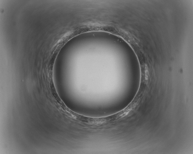 X0000080731157200612151217