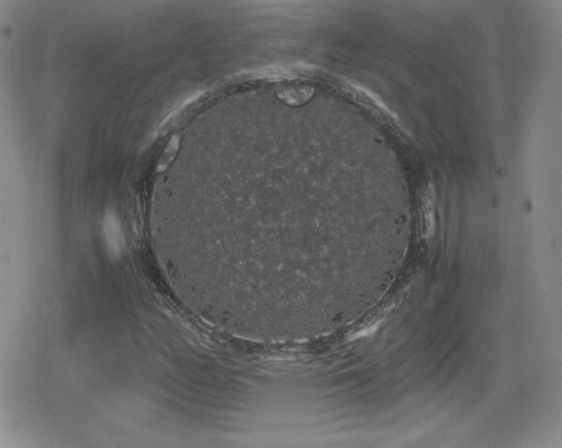 X0000080731158200612151217