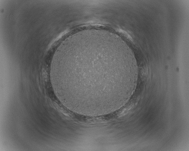 X0000080731159200612151217