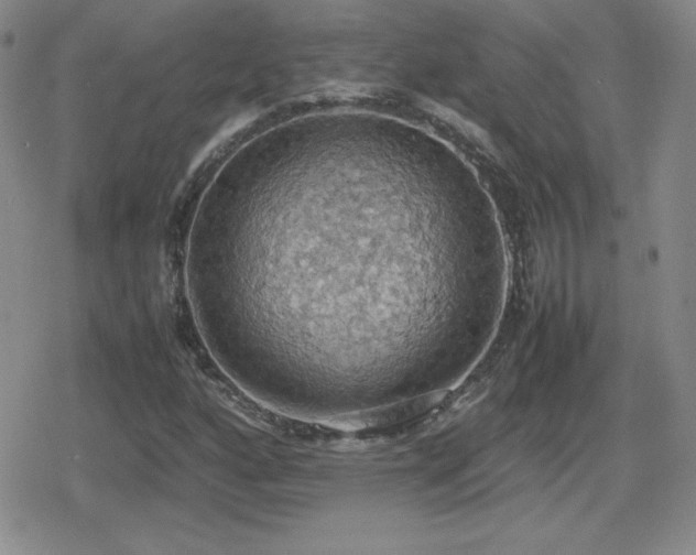 X0000080731160200612151217