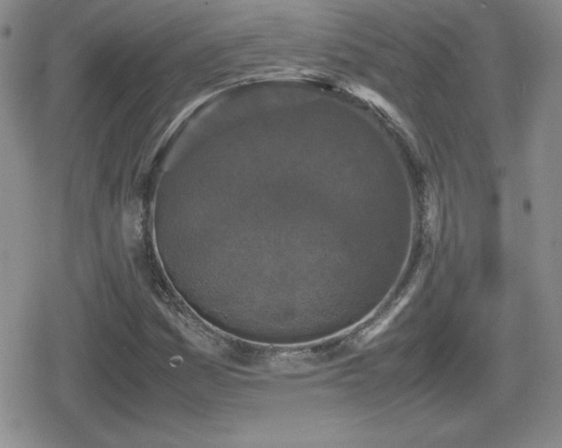 X0000080731161200612151217