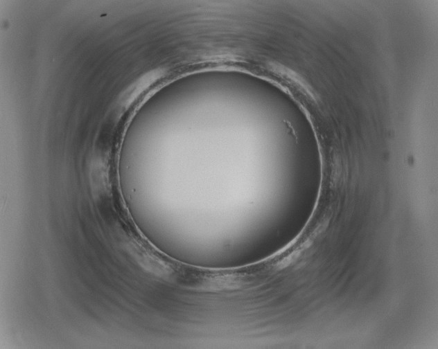 X0000080731162200612151217