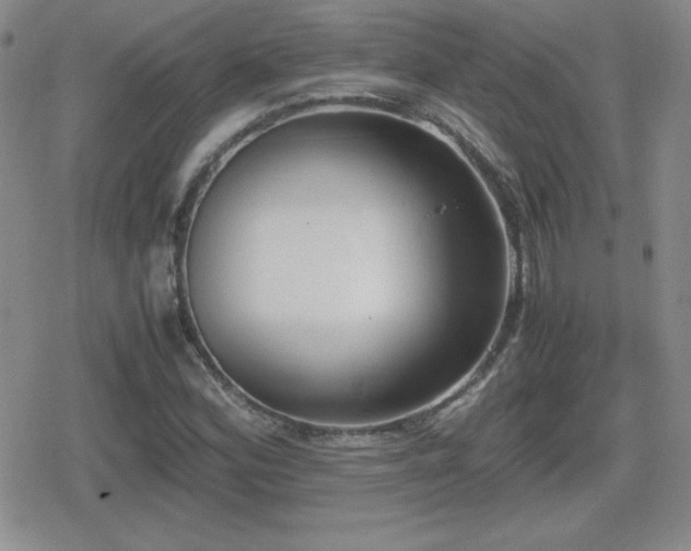 X0000080731164200612151217