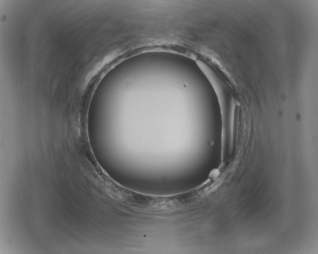 X0000080731165200612151217