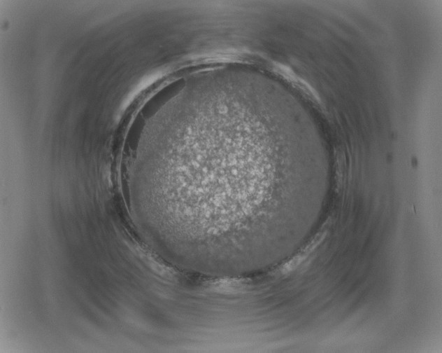 X0000080731166200612151217