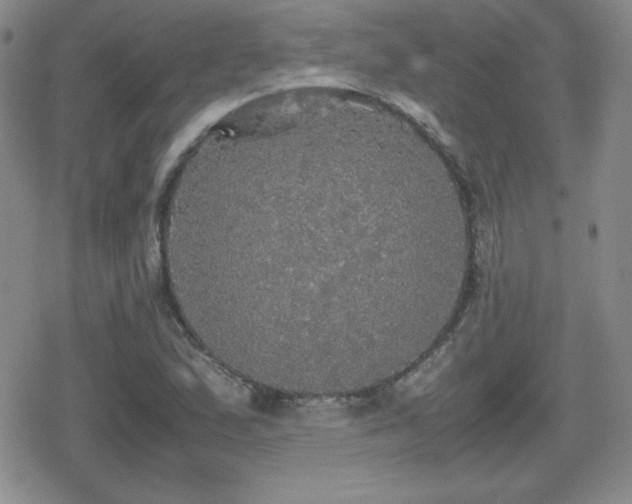 X0000080731167200612151217