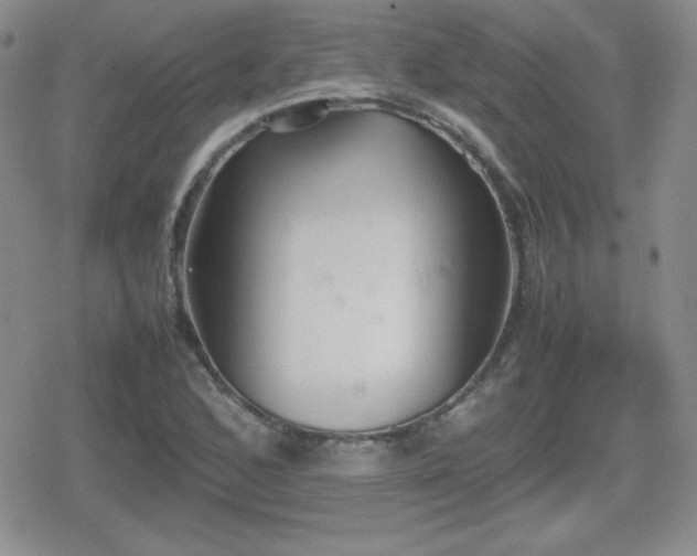 X0000080731168200612151217