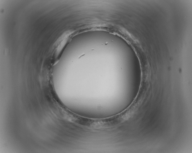 X0000080731169200612151217