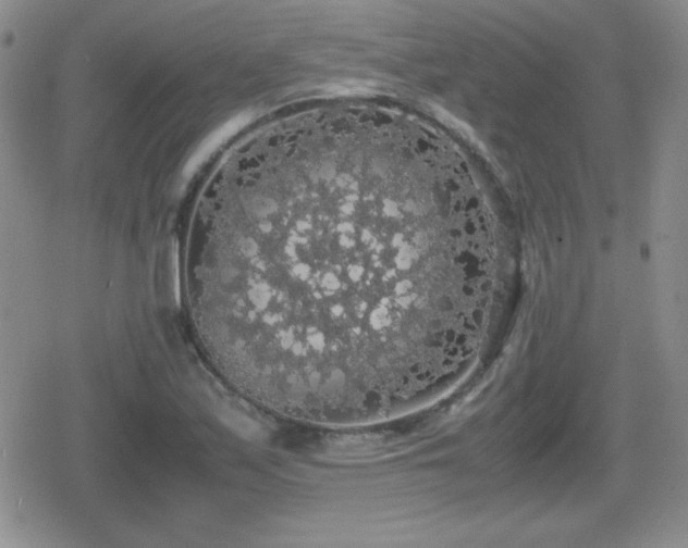 X0000080731171200612151217