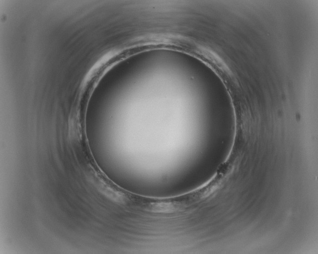 X0000080731172200612151216