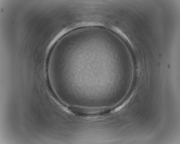 X0000080731173200612151216