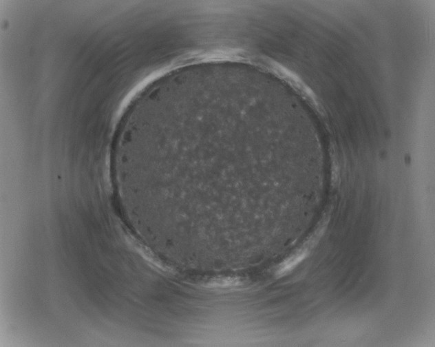 X0000080731174200612151216