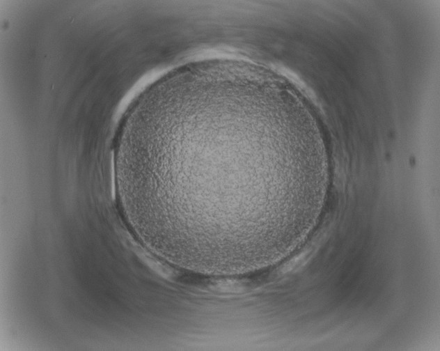 X0000080731175200612151216