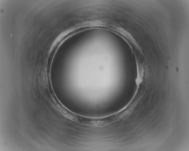 X0000080731176200612151216