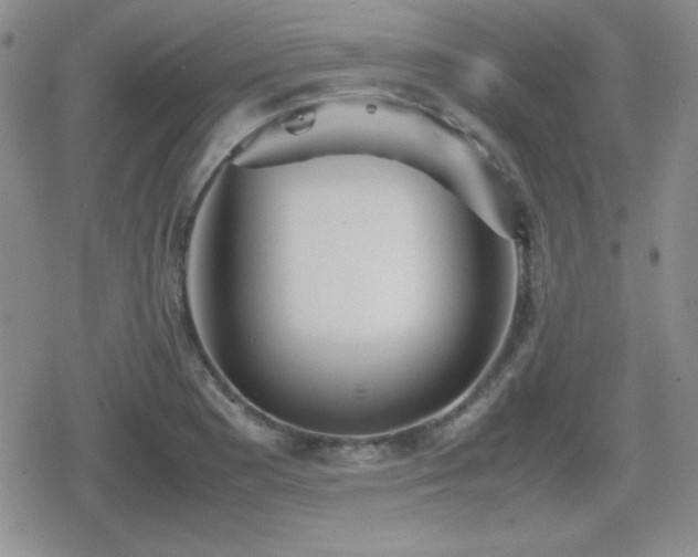 X0000080731177200612151216