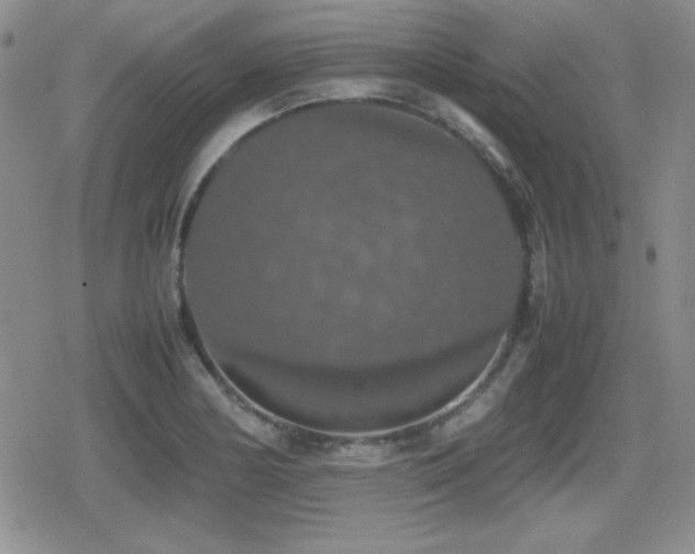 X0000080731178200612151216