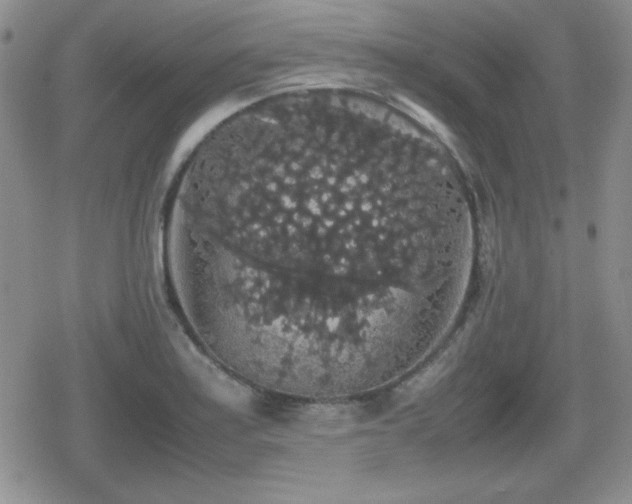 X0000080731179200612151216