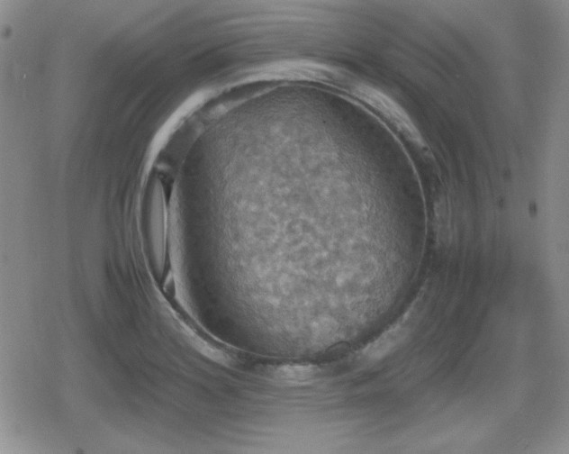 X0000080731180200612151216