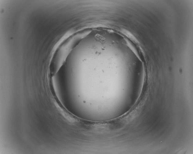 X0000080731181200612151216