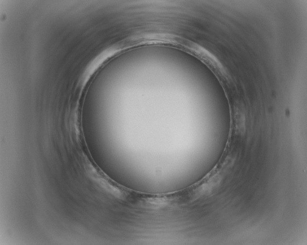 X0000080731182200612151216