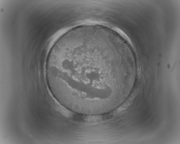 X0000080731183200612151216