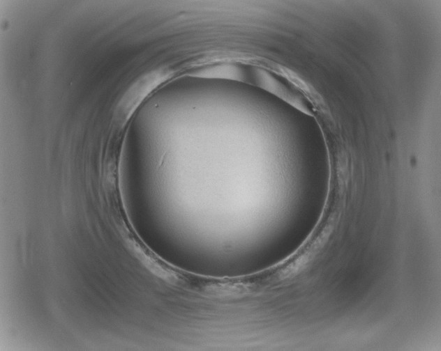 X0000080731185200612151216