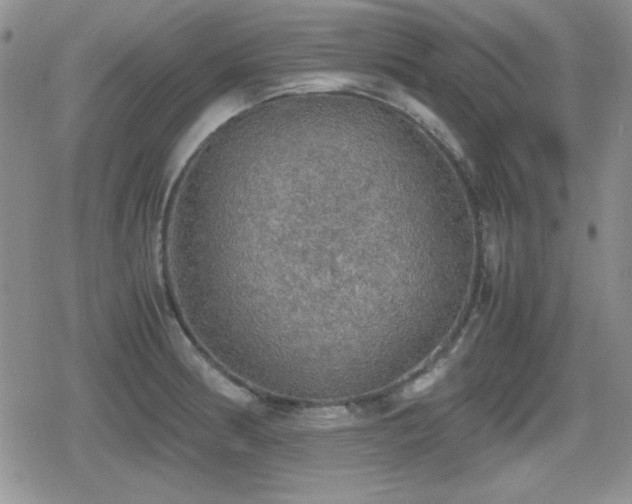 X0000080731186200612151216