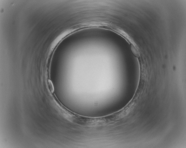 X0000080731187200612151216