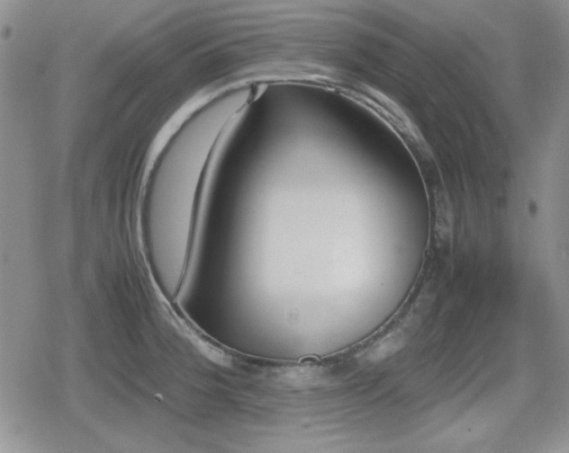 X0000080731188200612151216