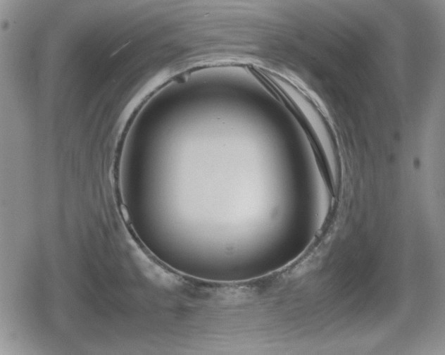 X0000080731189200612151216