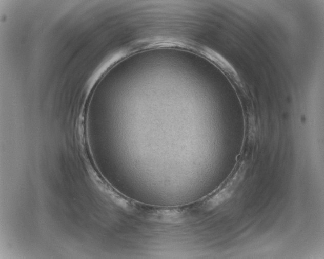 X0000080731190200612151216