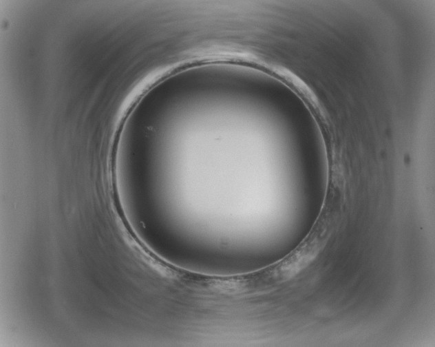 X0000080731191200612151216