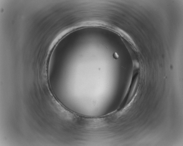 X0000080731192200612151216