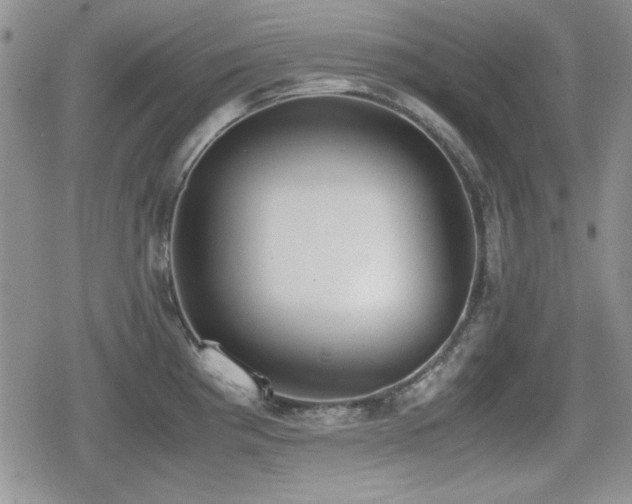 X0000080731193200612151216